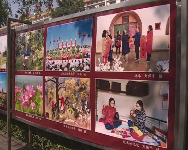 广东1100多岁古榕树倒塌，古榕树还能被抢救回来吗？